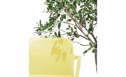 Connubia Stuhl stapelbar Bayo | Zitronengelb Ja -Stühle Verkäufe 2022 15304893 3 202111152233