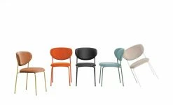 Connubia Polsterstuhl Cozy | Thymian (Blau) / Waldgrün