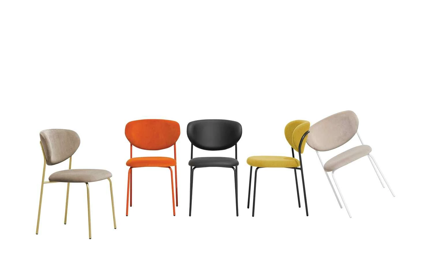 Connubia Polsterstuhl Cozy Connubia Polsterstuhl Cozy | Zitronengelb / Schwarz -Stühle Verkäufe 2022 15304918 2 202111162234