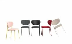 Connubia Polsterstuhl Cozy | Taubengrau / Grau