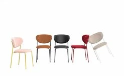 Connubia Polsterstuhl Cozy | Safran (Orange) / Schwarz