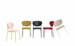 Connubia Polsterstuhl Cozy | Zitronengelb / Taubengrau