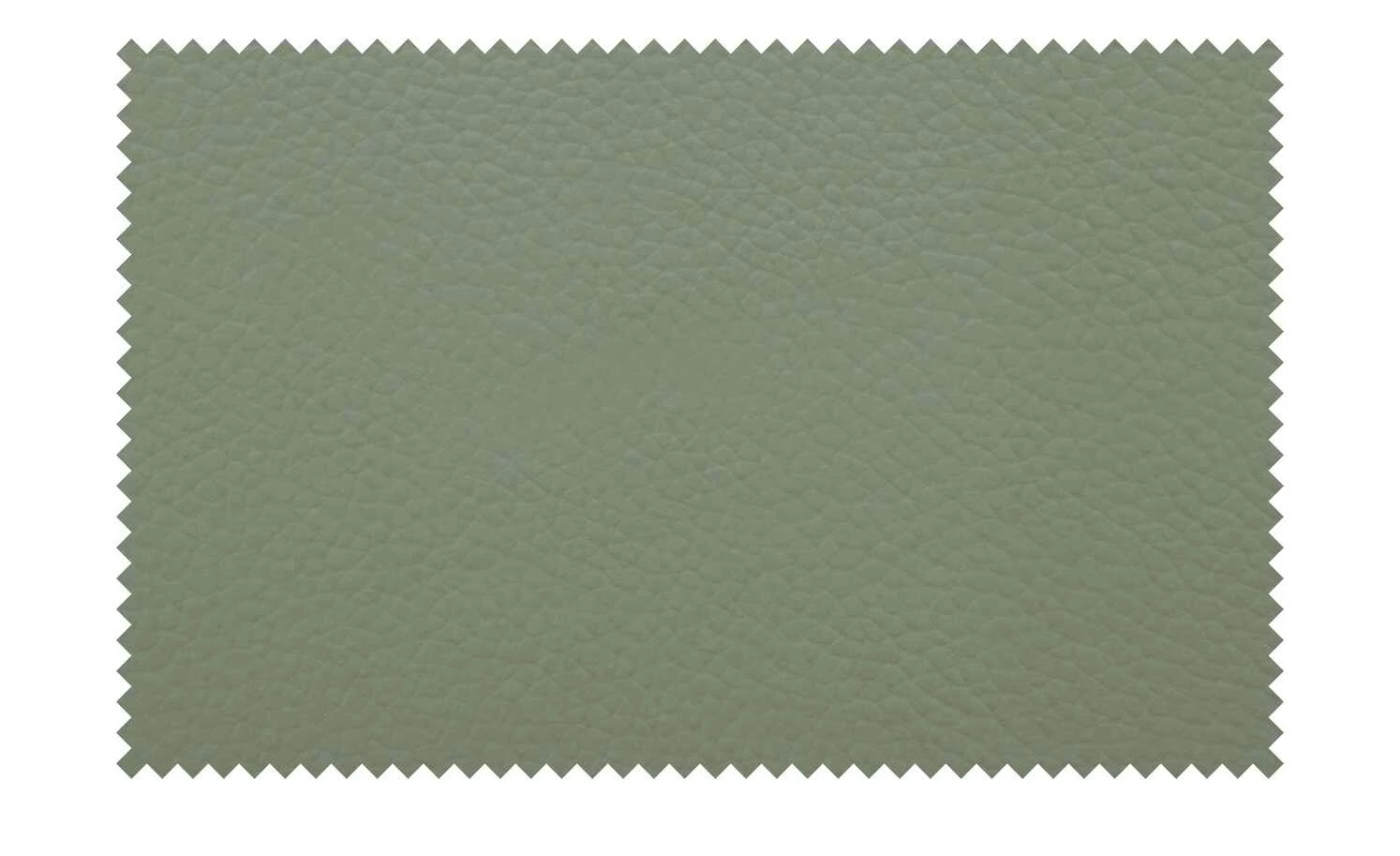 uno Leder-Freischwinger Sammy uno Leder-Freischwinger Sammy | Olive (Grün) -Stühle Verkäufe 2022 15305220 5 202208311235