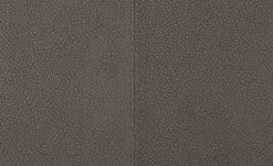 Wohnwert Polsterstuhl Botho | Nuss (Braun) Federkern -Stühle Verkäufe 2022 15305864 3 202209212234