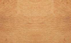 Dine + Mine Polsterstuhl Nador | Cappuccino (Braun) Akazie (Nachbildung) Nein 5 Dine + Mine Polsterstuhl Nador | Cappuccino (Braun) Akazie (Nachbildung) Nein -Stühle Verkäufe 2022 15306719 4 202207081237