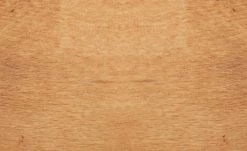 Dine + Mine Polsterstuhl Xalapa | Nachtblau Akaziefarbig Nein 10 Dine + Mine Polsterstuhl Xalapa | Nachtblau Akaziefarbig Nein -Stühle Verkäufe 2022 15307032 9 202205251237