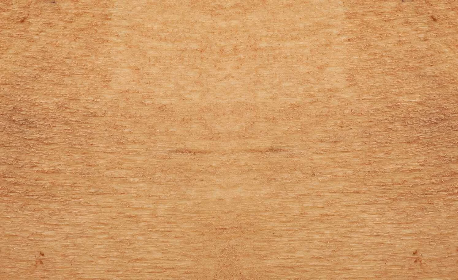 Dine + Mine Polsterstuhl Xalapa Dine + Mine Polsterstuhl Xalapa | Anthrazit Akaziefarbig Ja -Stühle Verkäufe 2022 15307034 4 202205251237