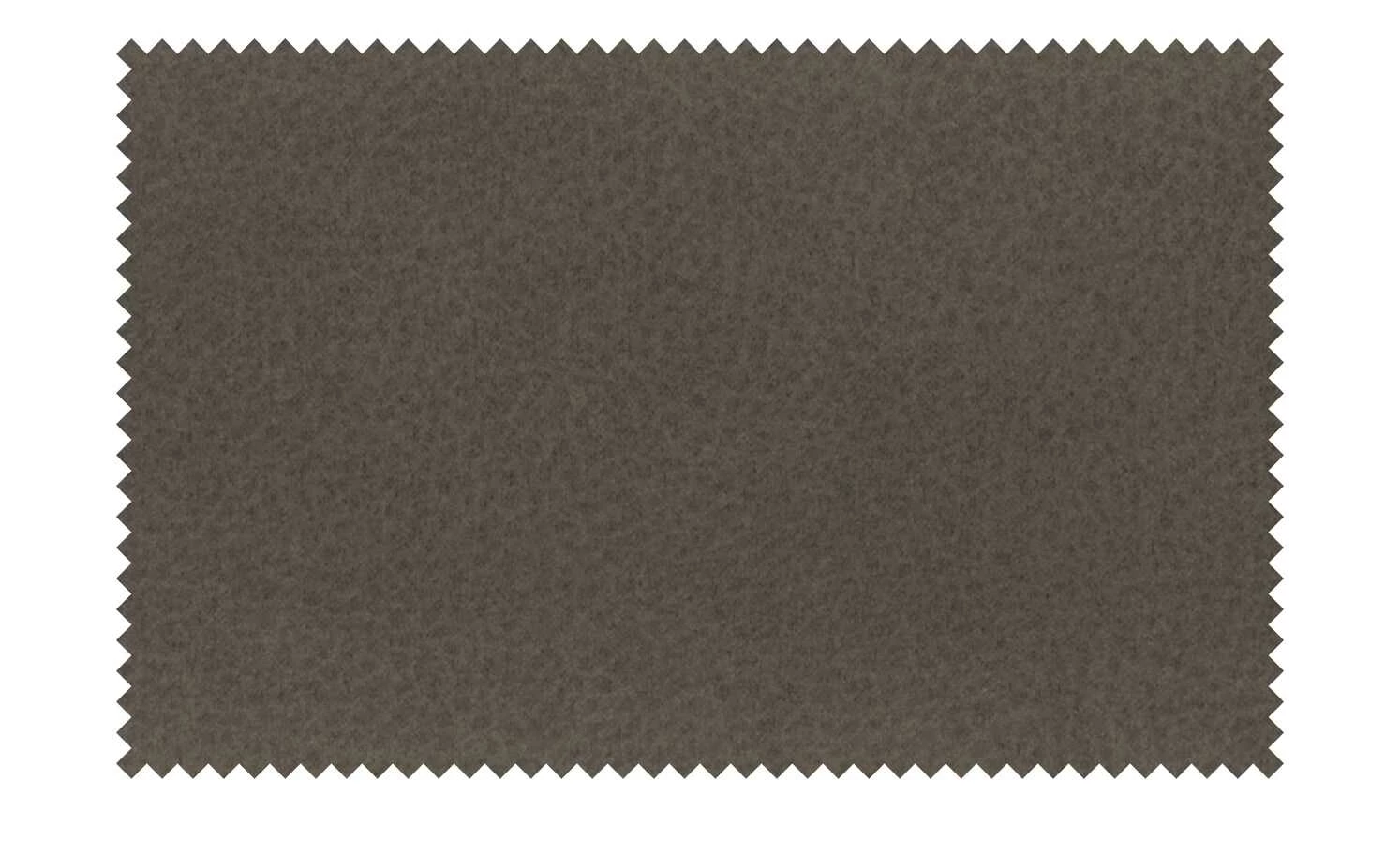 Dine + Mine Polsterstuhl Xalapa Dine + Mine Polsterstuhl Xalapa | Cappuccino (Braun) Wildeiche Nein -Stühle Verkäufe 2022 15307041 8 202205251237