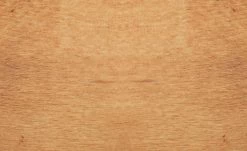 Dine + Mine Polsterstuhl Corby | Anthrazit Akaziefarbig Nein 9 Dine + Mine Polsterstuhl Corby | Anthrazit Akaziefarbig Nein -Stühle Verkäufe 2022 15307078 8 202206162233