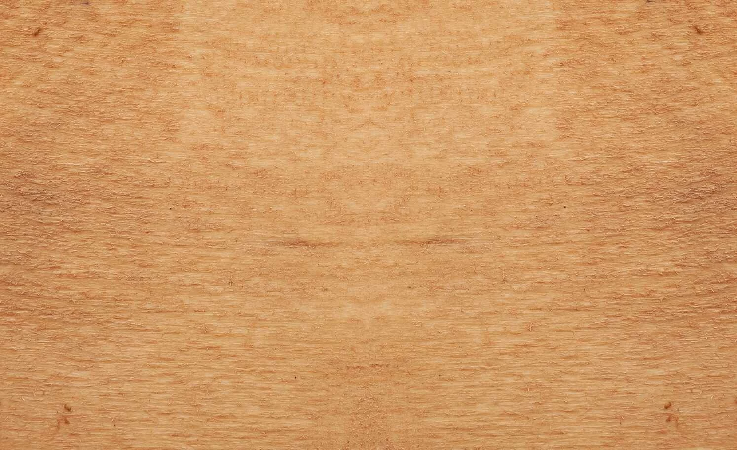 Dine + Mine Polsterstuhl Corby Dine + Mine Polsterstuhl Corby | Lichtgrau Akaziefarbig Nein -Stühle Verkäufe 2022 15307081 8 202206162233