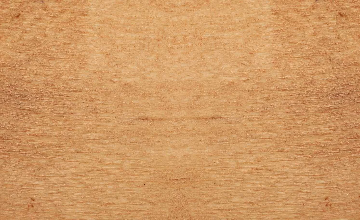 Dine + Mine Polsterstuhl Nador Dine + Mine Polsterstuhl Nador | Cappuccino (Braun) Akazie (Nachbildung) Ja -Stühle Verkäufe 2022 15307116 1 202207081237