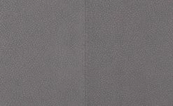 Wohnwert Polsterstuhl Botho | Kiesel (Hellgrau) Schaumstoff -Stühle Verkäufe 2022 15307446 4 202209212234