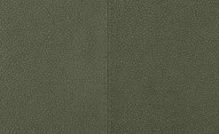 Wohnwert Polsterstuhl Botho | Moos (Grün) Schaumstoff -Stühle Verkäufe 2022 15307448 6 202209212234