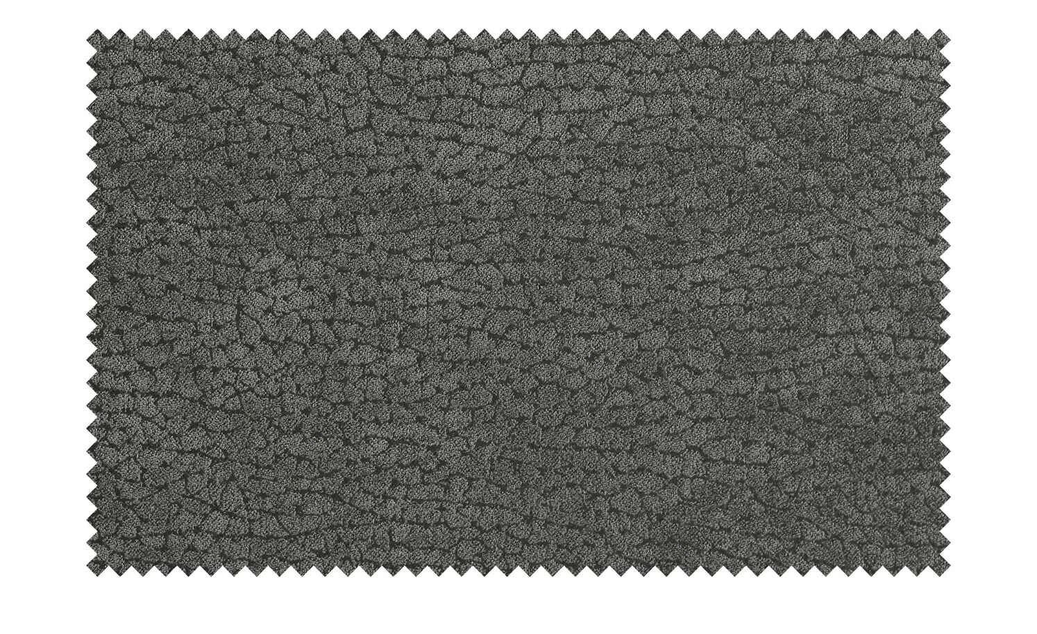 Woodford Polsterstuhl Badu Woodford Polsterstuhl Badu | Anthrazit Buche Naht waagerecht -Stühle Verkäufe 2022 15307526 9 202205061253